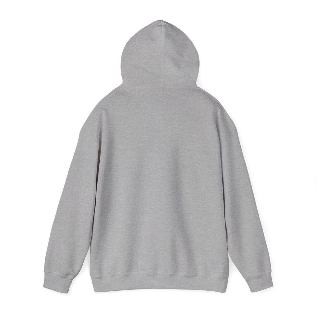 Back view of a sport grey hoodie on a white background