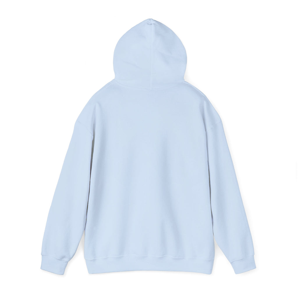 Back view of a light blue hoodie on a white background