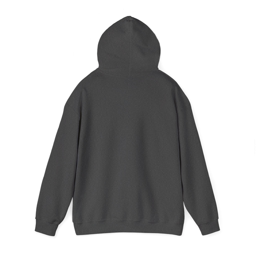 Back view of a dark heather hoodie on a white background